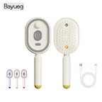 Electric Spray Air Cushions Massage Comb 3 in 1 Self Cleaning Steam Essential Oil Brush Rechargeable Spray Scalp Massager Combs