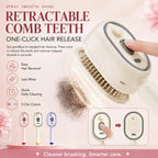 Electric Spray Air Cushions Massage Comb 3 in 1 Self Cleaning Steam Essential Oil Brush Rechargeable Spray Scalp Massager Combs
