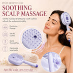 Electric Spray Air Cushions Massage Comb 3 in 1 Self Cleaning Steam Essential Oil Brush Rechargeable Spray Scalp Massager Combs