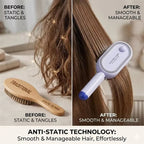 Electric Spray Air Cushions Massage Comb 3 in 1 Self Cleaning Steam Essential Oil Brush Rechargeable Spray Scalp Massager Combs